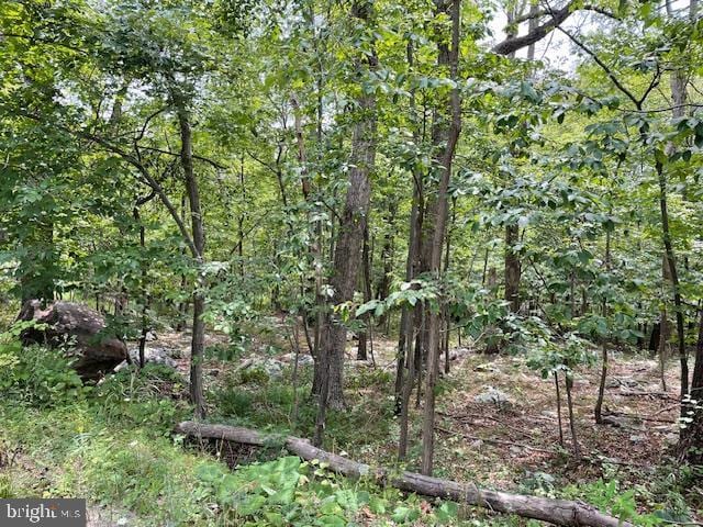 0 Opossum Trl, Winchester VA, 22602 land for sale