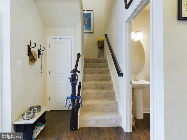 stairs featuring sink and hardwood / wood-style flooring