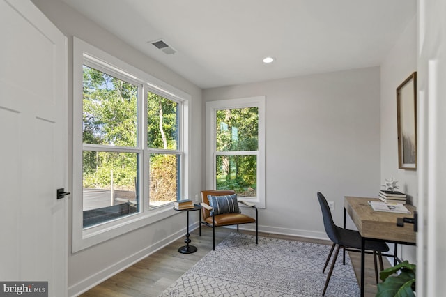 office area with wood-type flooring and a wealth of natural light