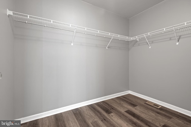 walk in closet with dark hardwood / wood-style floors