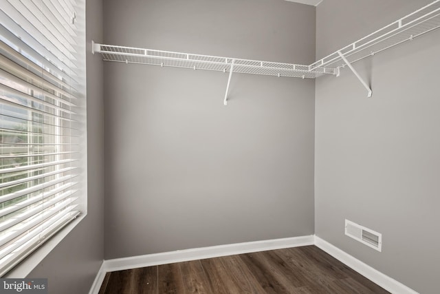 walk in closet featuring dark wood-type flooring