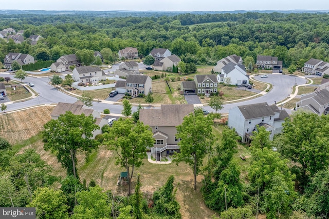 bird's eye view