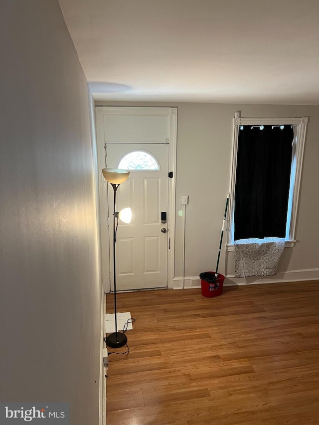 entrance foyer featuring light wood-type flooring