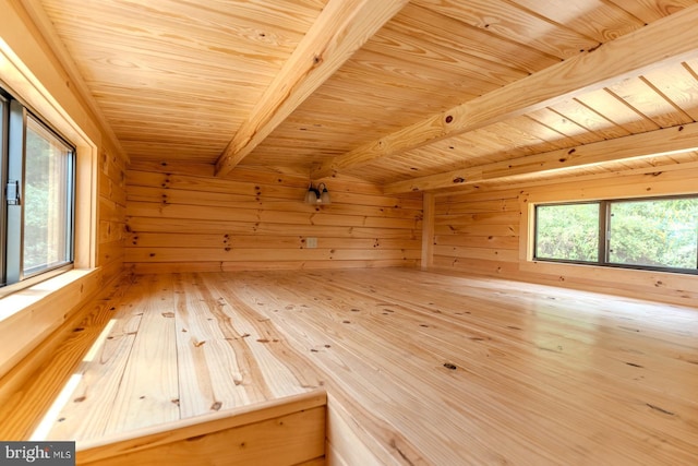 view of sauna featuring wood finished floors