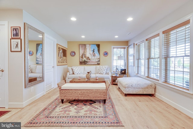 living room with light hardwood / wood-style flooring and a wealth of natural light