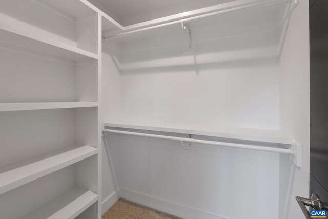 spacious closet with carpet