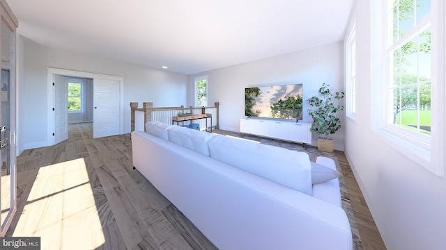 living room with hardwood / wood-style flooring