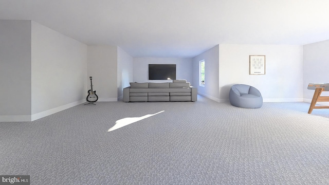 living area featuring carpet flooring