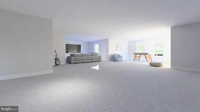 interior space with carpet