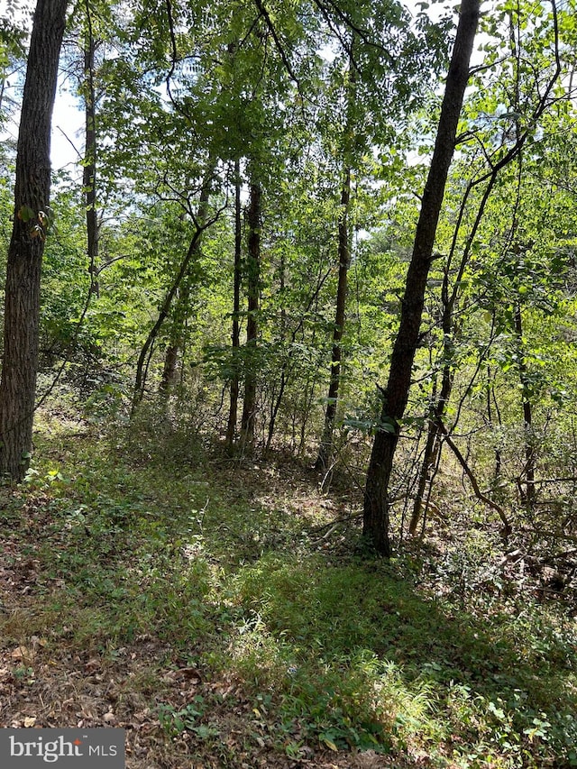 Listing photo 2 for LOT7 Foxes Hollow Rd, Romney WV 26757