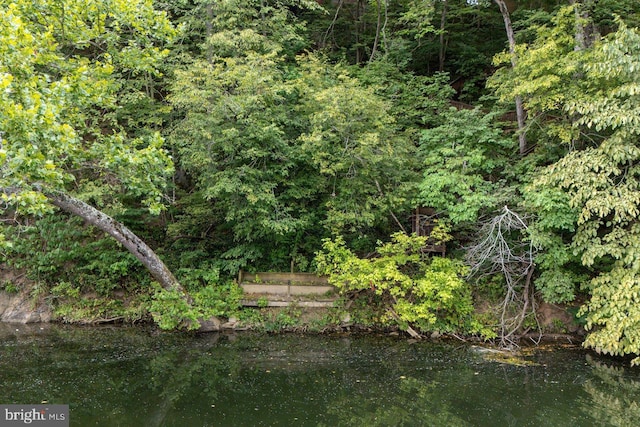 view of landscape featuring a water view