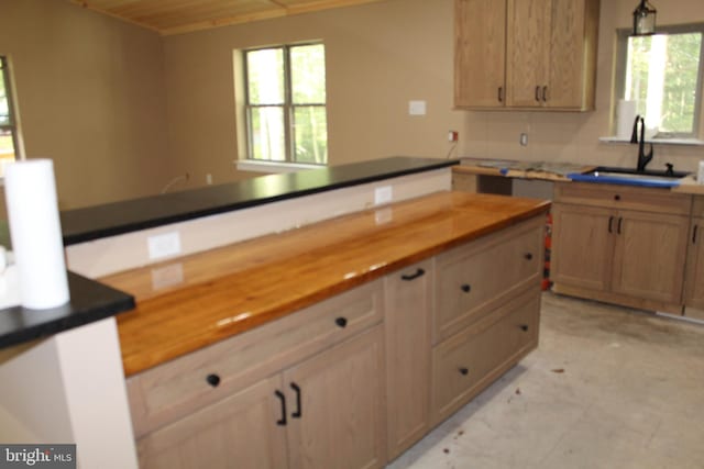 kitchen with butcher block countertops and sink