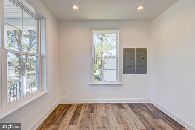 spare room featuring a healthy amount of sunlight, hardwood / wood-style floors, and electric panel