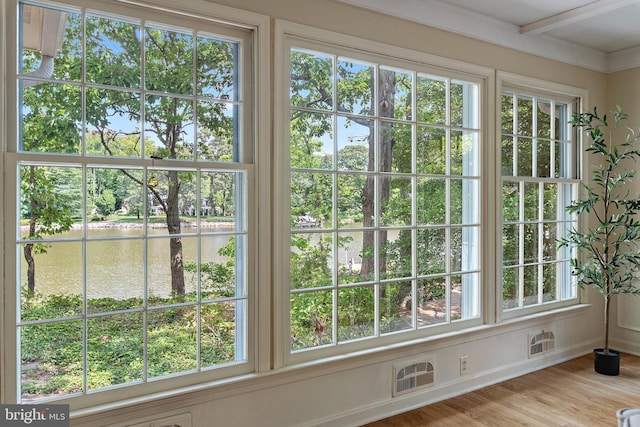 doorway to outside featuring light hardwood / wood-style floors and a water view