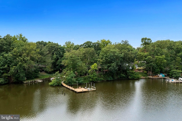 property view of water featuring a boat dock