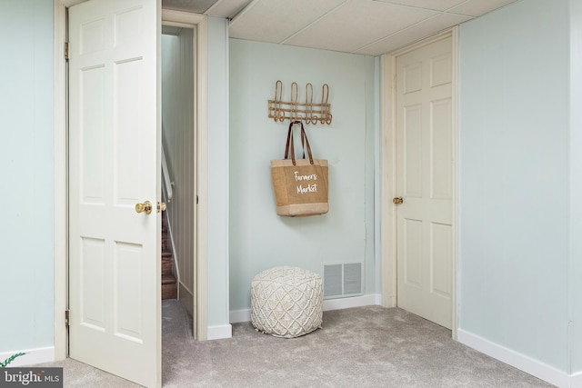 interior space featuring carpet and a drop ceiling