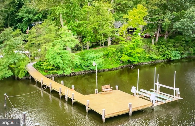 dock area featuring a water view