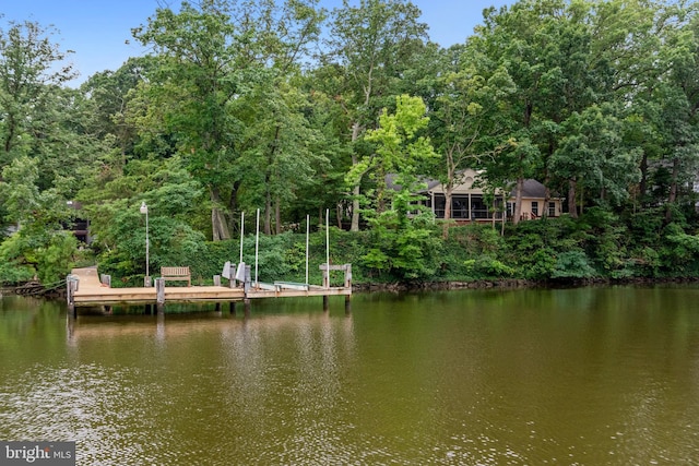 dock area featuring a water view