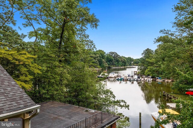 water view featuring a boat dock