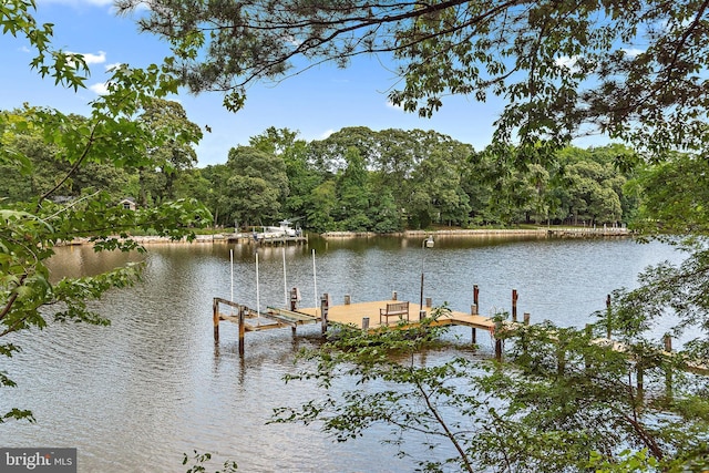 dock area featuring a water view