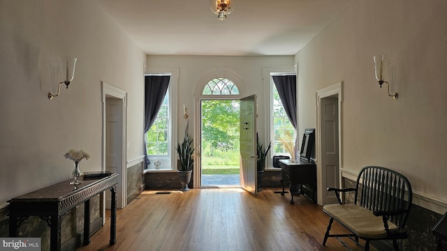 entrance foyer with hardwood / wood-style floors and plenty of natural light