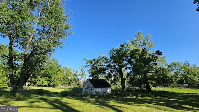 view of yard with a storage shed