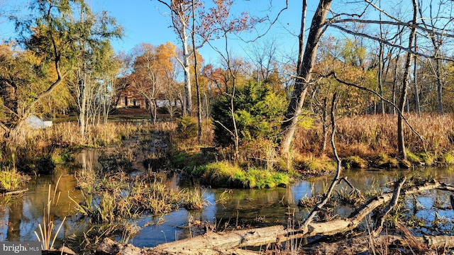 view of water feature