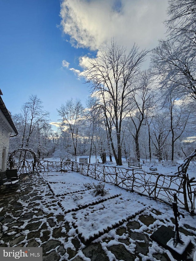 view of snowy yard