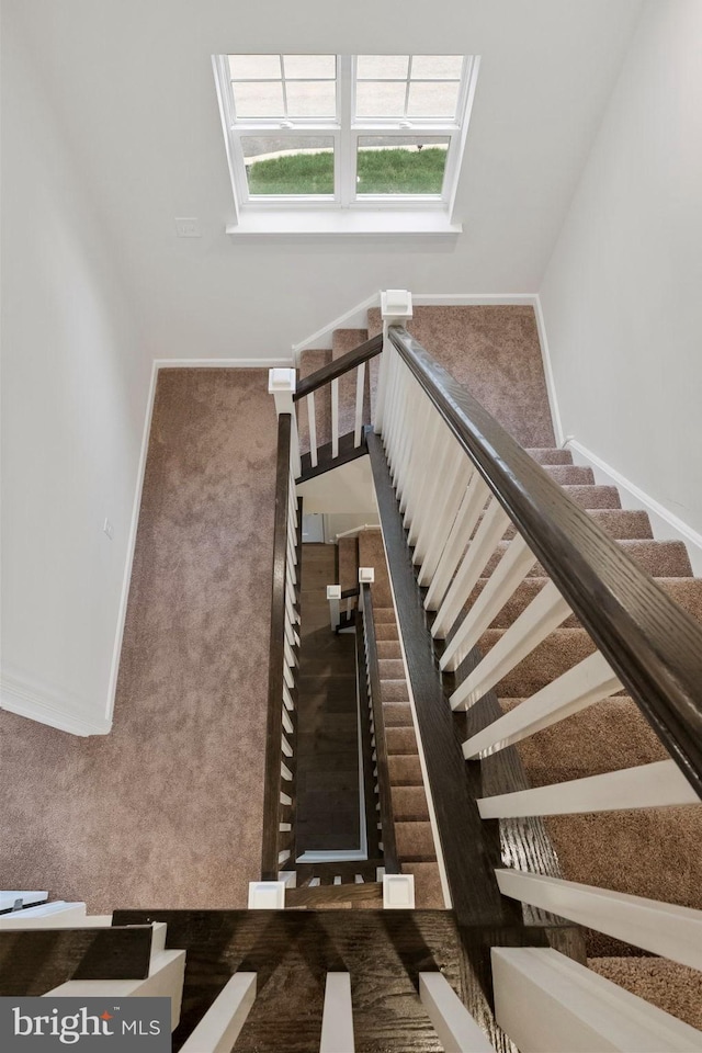 stairs with carpet floors