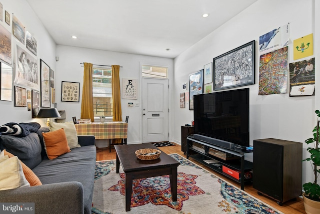 living room featuring hardwood / wood-style flooring