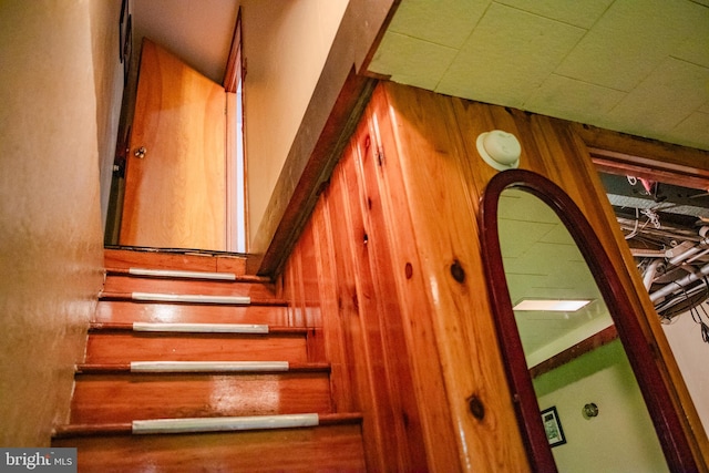 stairway with wooden walls