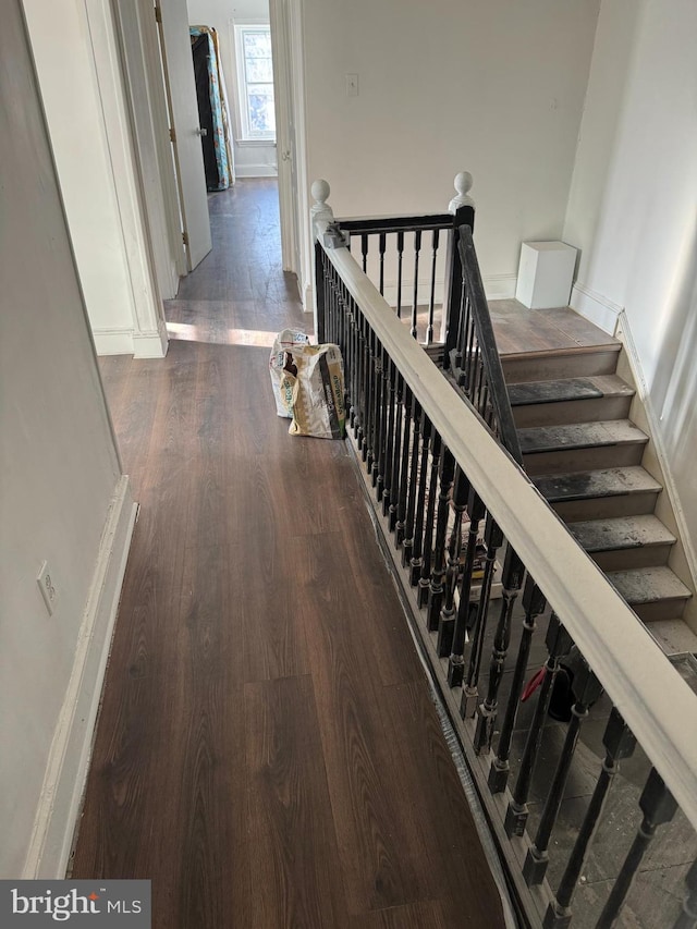 corridor featuring dark wood-type flooring