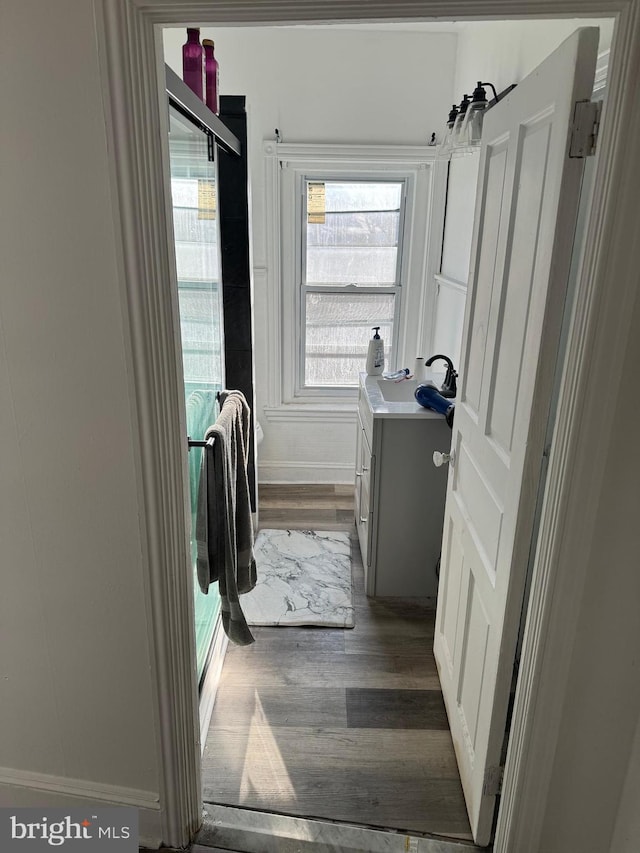 bathroom featuring vanity, plenty of natural light, and hardwood / wood-style floors