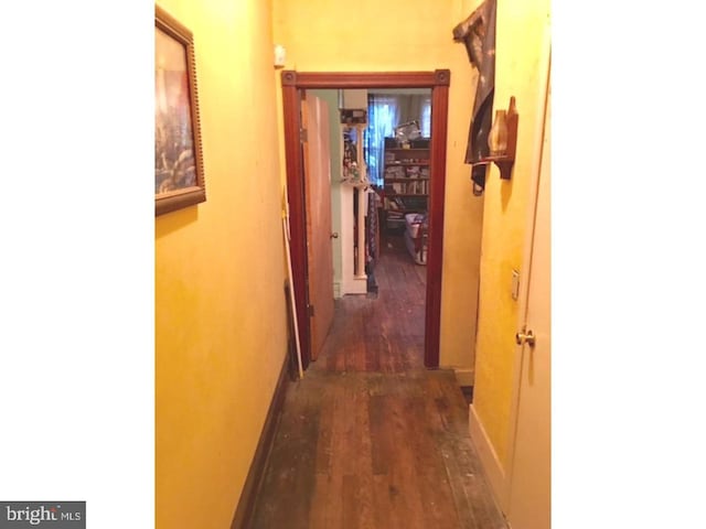 hallway featuring dark hardwood / wood-style flooring