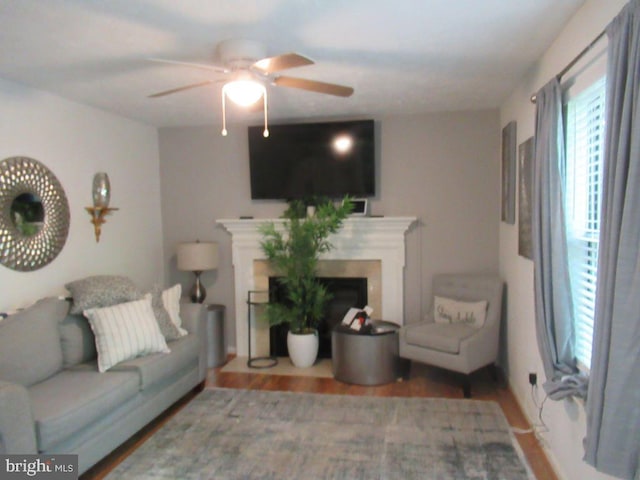 living room with ceiling fan and hardwood / wood-style flooring