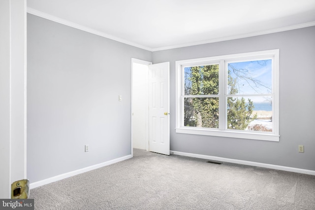 empty room featuring crown molding and carpet floors