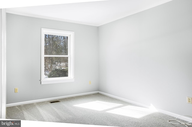 carpeted spare room with ornamental molding