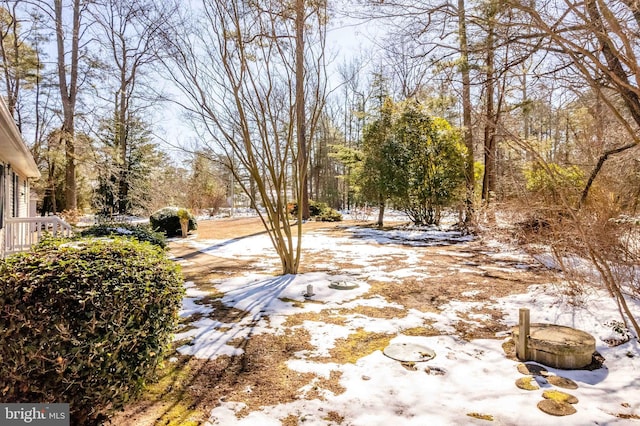 view of yard layered in snow