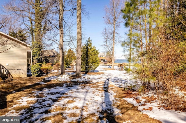 view of snowy yard