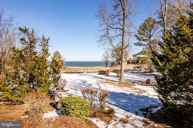 yard covered in snow with a water view