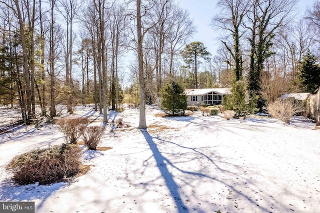 view of yard layered in snow