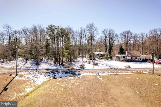 view of yard layered in snow