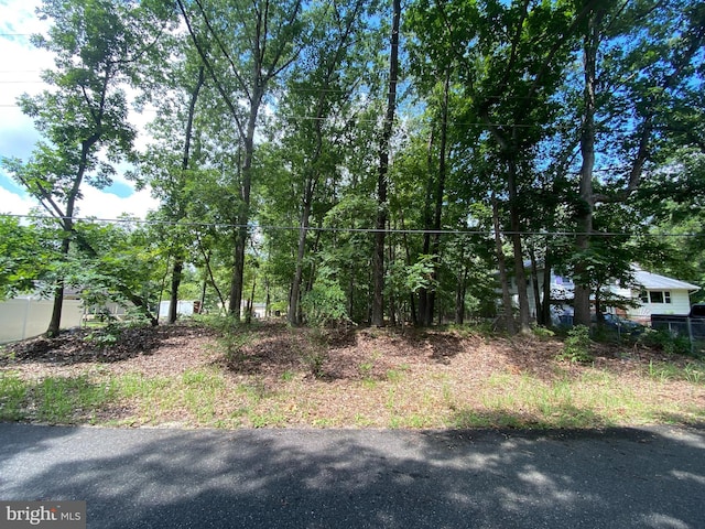 Listing photo 2 for 0 Sorrento Ave, Newfield NJ 08344