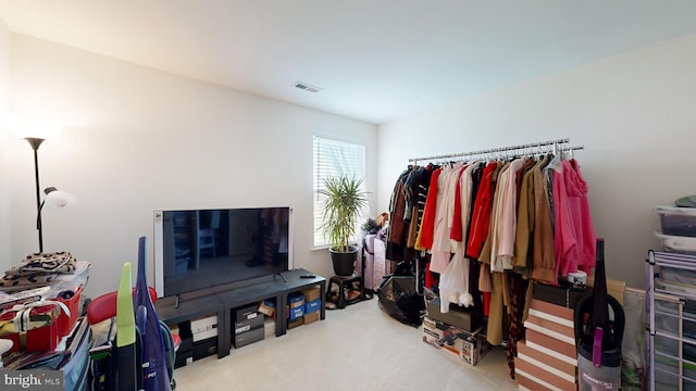 walk in closet featuring carpet flooring