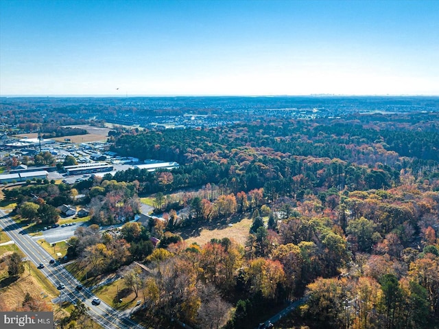 bird's eye view