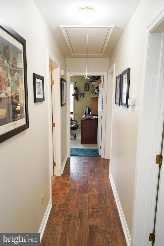 corridor featuring hardwood / wood-style flooring and a tray ceiling