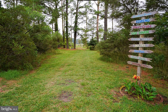 view of yard