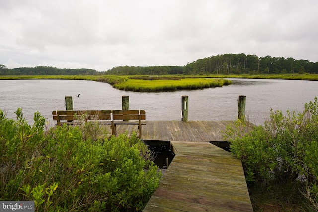 dock area with a water view