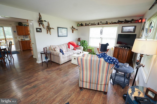 living room featuring dark wood-type flooring