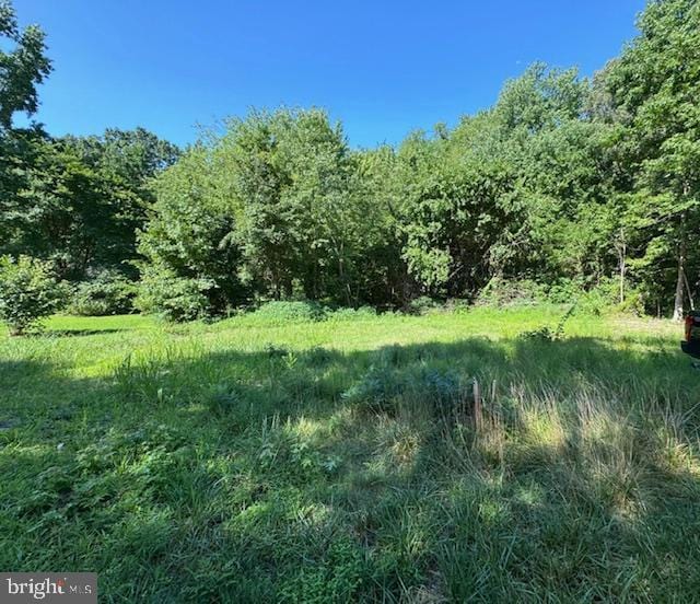 5126 Skinners Neck Rd, Rock Hall MD, 21661 land for sale